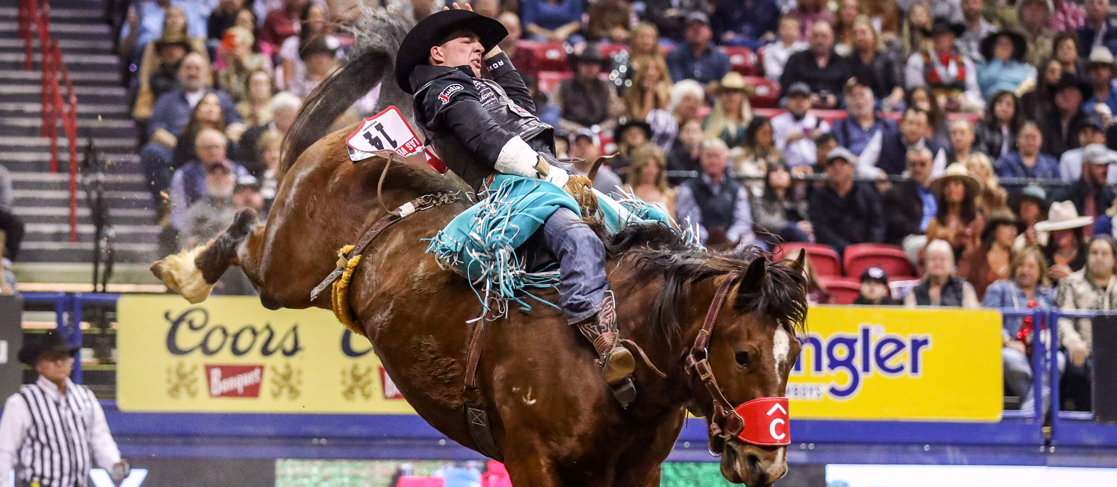 Jess Pope wearing western attire and chaps riding a bucking horse bareback at a rodeo.